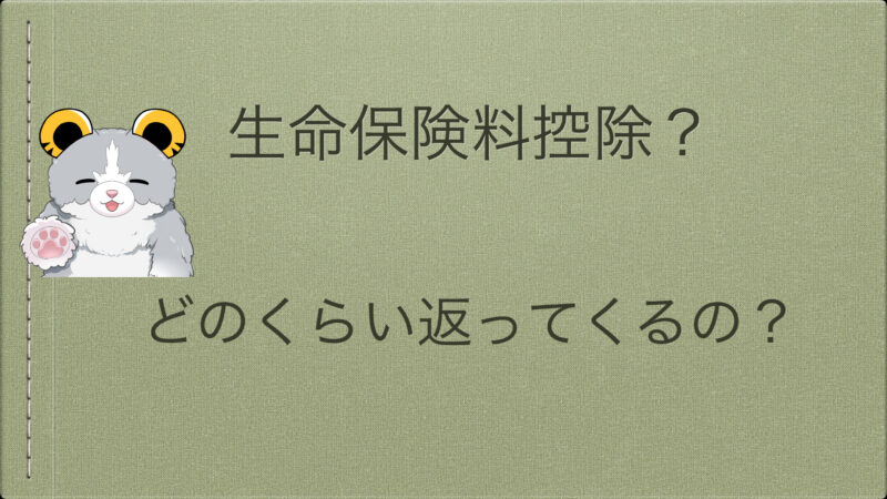 生命保険料控除とは？